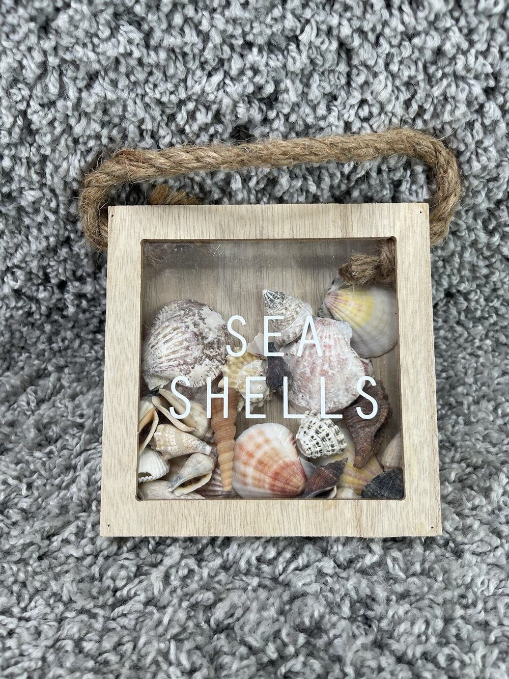 Homemade Seashell Shadow Box Small Hanging Or Freestanding Home Decor